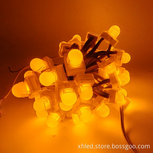 Programmable RGBW LED Christmas Lights with Diffused Pixels